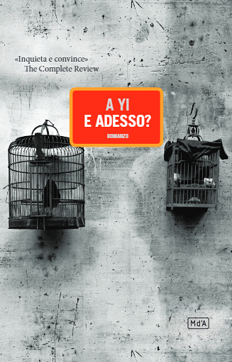 E adesso? Book Cover